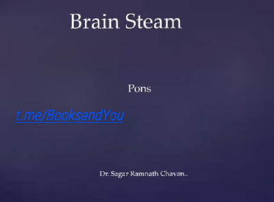 Brain Steam.pdf